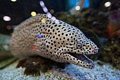 《黑神话：悟空》带火山西！大同华严寺游客暴增超50%